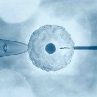 avvocatopelliccia_pma